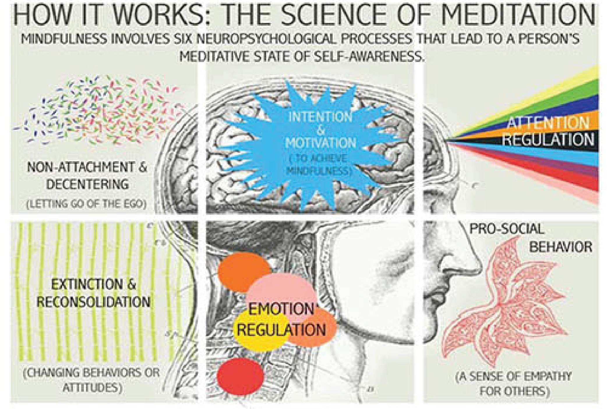 The Science of Mindfulness - Mindful